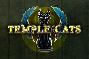 Temple Cats